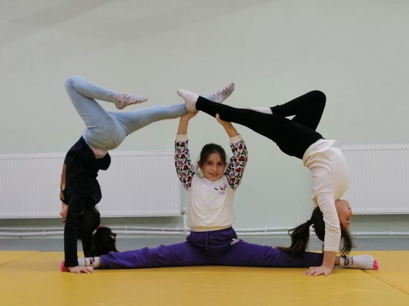 Sakarya Capoeira-Cimnastik 