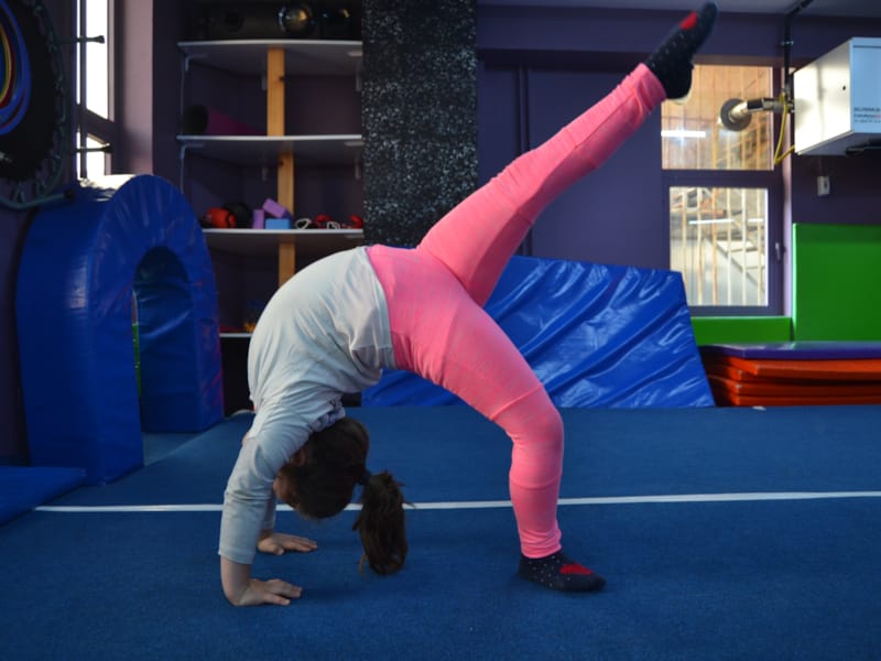 Atom Karınca Spor Kulübü