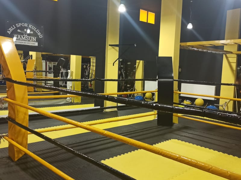Arlı Spor