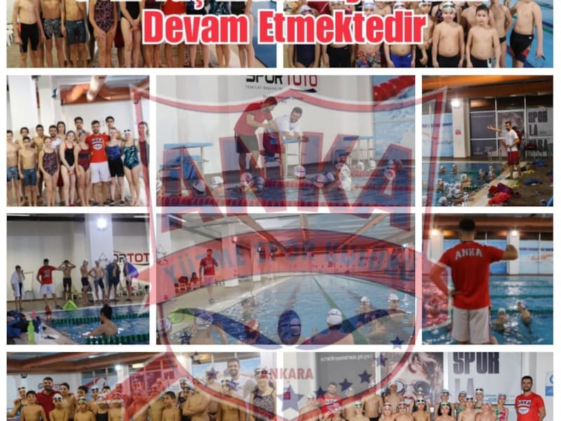 Anka Yüzme Spor Kulübü