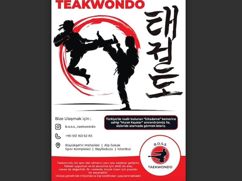 Beylikdüzü Taekwondo
