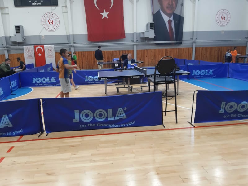 Table Tennis Organizations