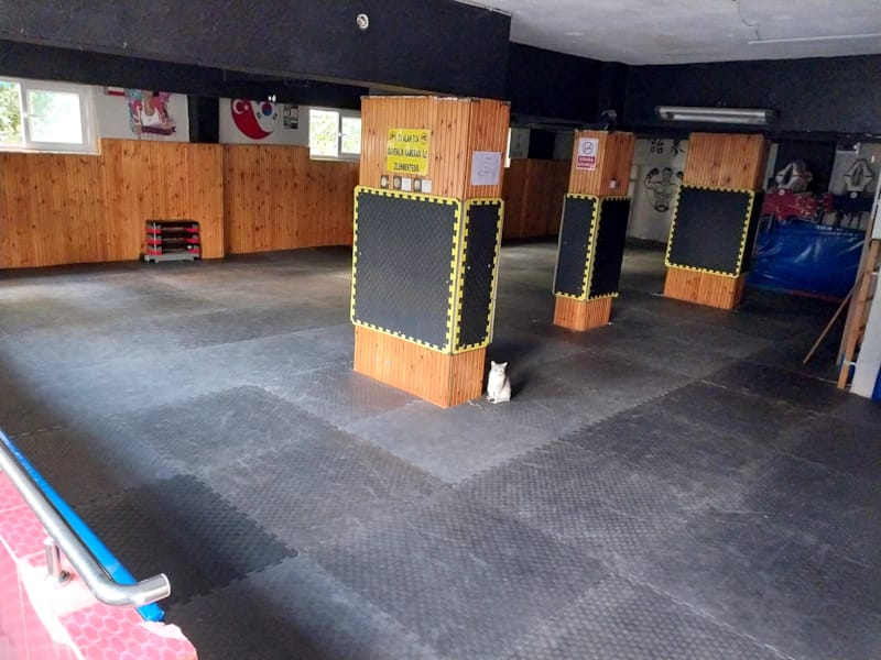 Gölcük Belediye Spor Kulübü
