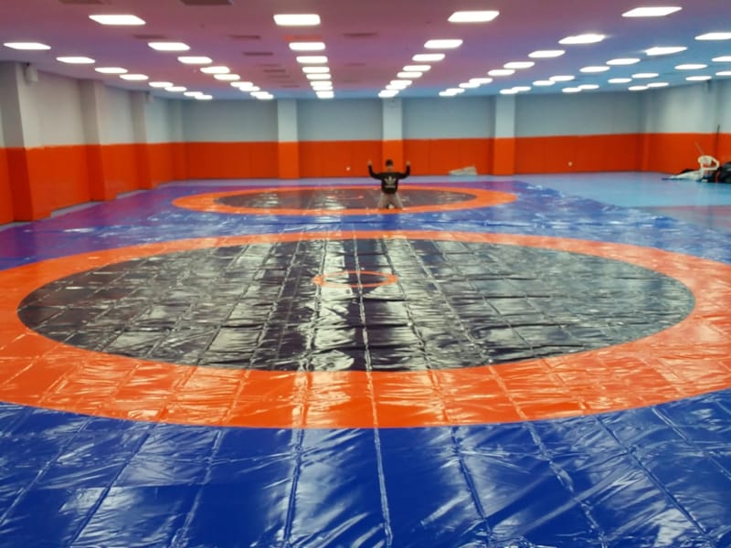 Pendik Belediye Spor Kulübü