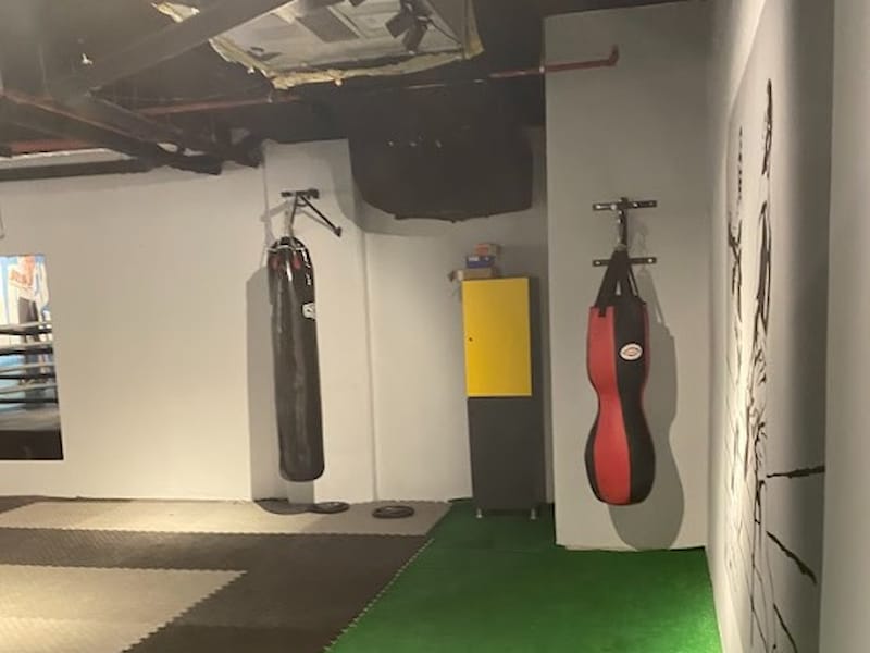 Spine Personal Coaching