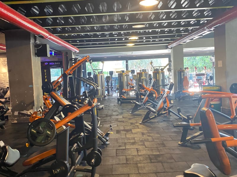 Wolf Gym