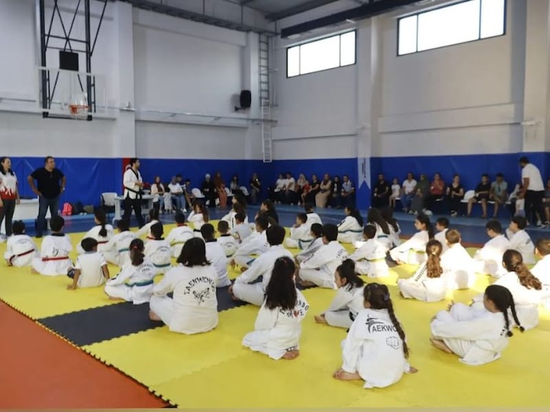 Yüreğir Taekwondo Spor Kulübü